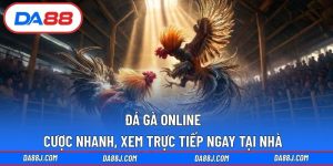 Đá Gà Online