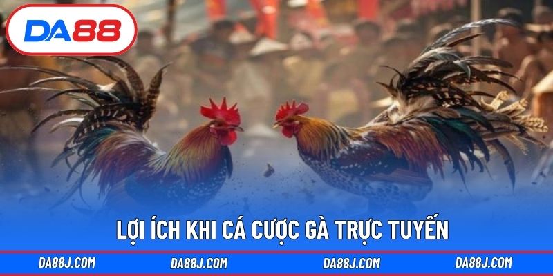Lợi ích khi cá cược gà trực tuyến