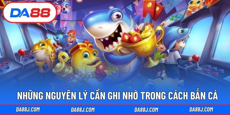 Những nguyên lý cần ghi nhớ trong cách bắn cá